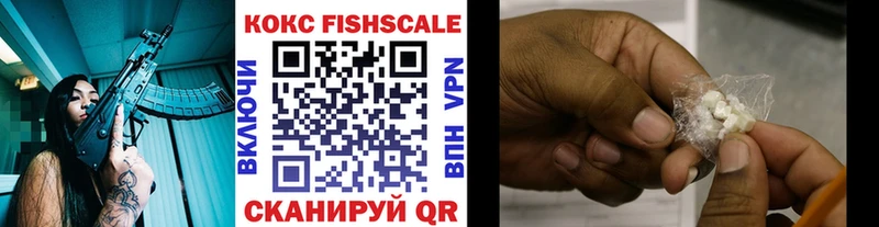 Cocaine Fish Scale  Купить закладки  Заволжье 