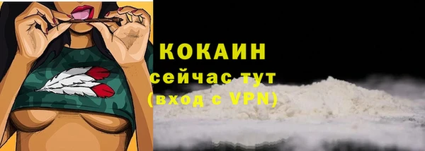 Альфа ПВП Каменка